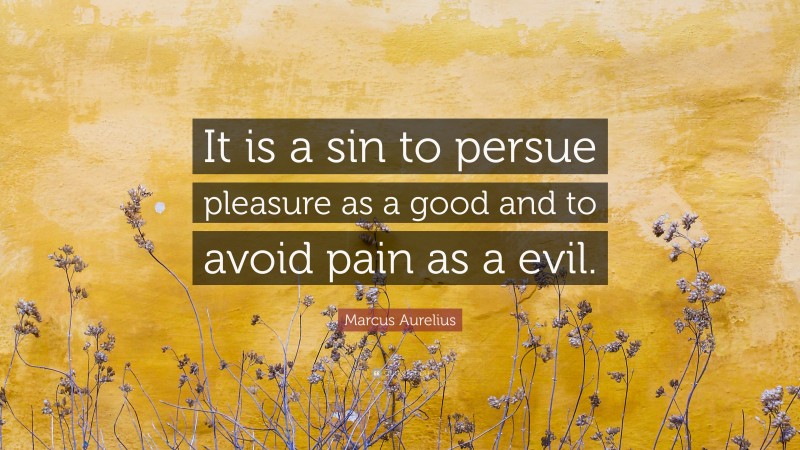 Marcus Aurelius Quote: “It is a sin to persue pleasure as a good and to avoid pain as a evil.”