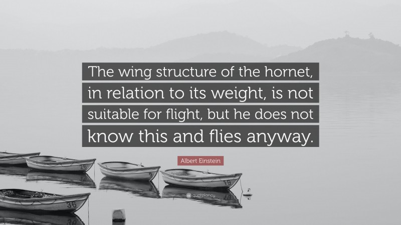 Albert Einstein Quote: “The wing structure of the hornet, in relation to its weight, is not suitable for flight, but he does not know this and flies anyway.”