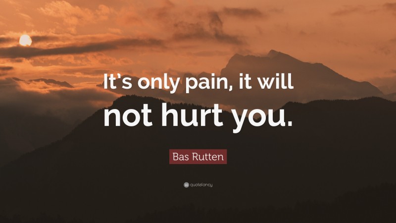 Bas Rutten Quote: “It’s only pain, it will not hurt you.”