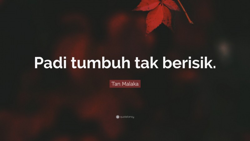 Tan Malaka Quote: “Padi tumbuh tak berisik.”