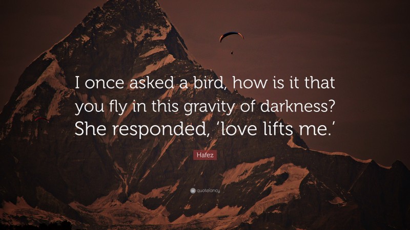 Hafez Quote: “I once asked a bird, how is it that you fly in this gravity of darkness? She responded, ‘love lifts me.’”