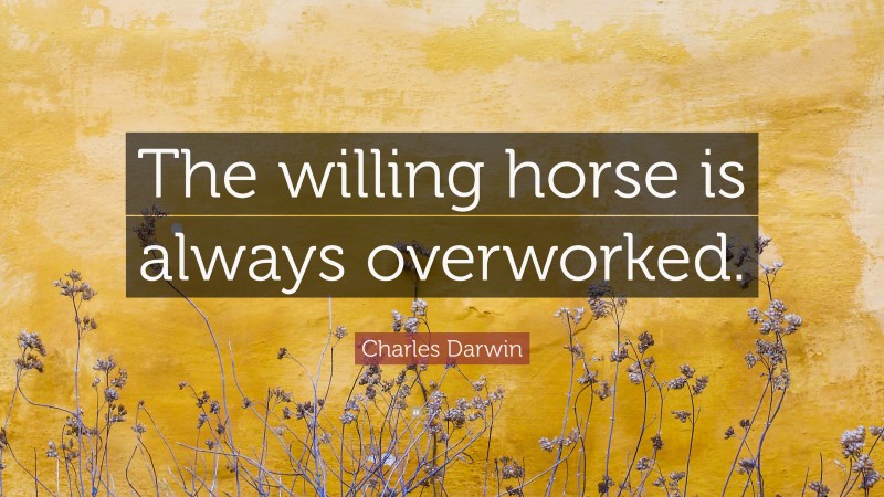 Charles Darwin Quote: “The willing horse is always overworked.”