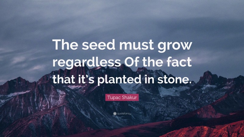 Tupac Shakur Quote: “The seed must grow regardless Of the fact that it’s planted in stone.”