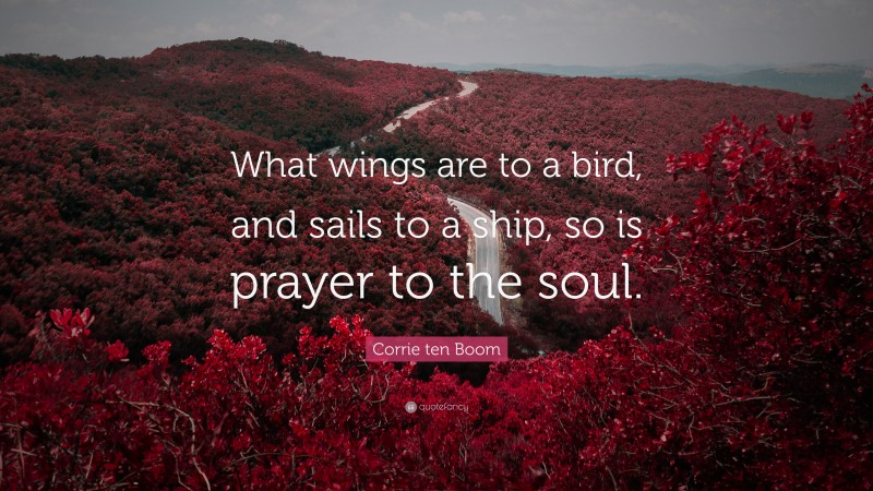 Corrie ten Boom Quote: “What wings are to a bird, and sails to a ship, so is prayer to the soul.”