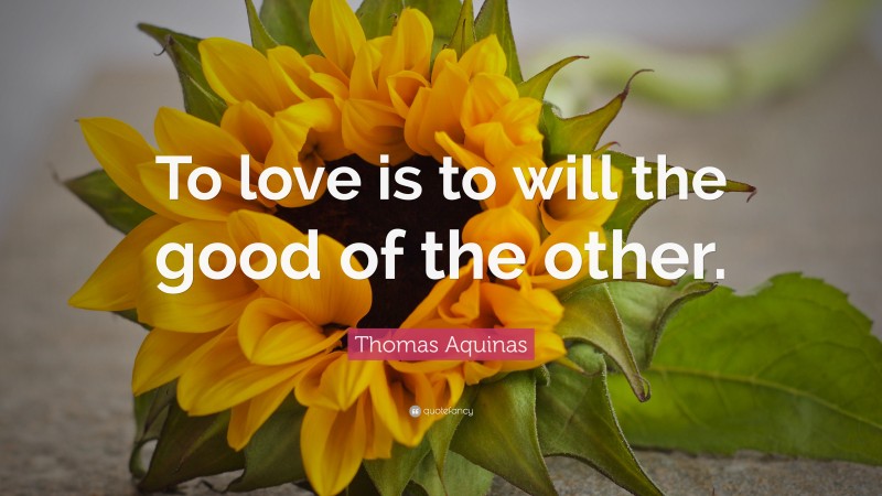 Thomas Aquinas Quote: “To love is to will the good of the other.”