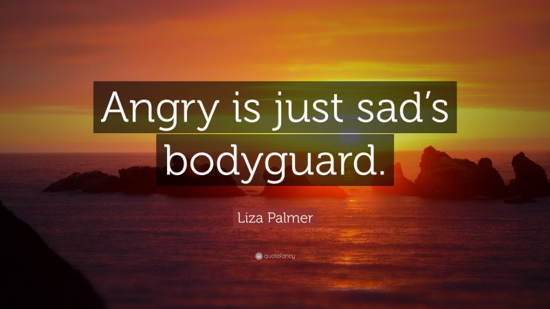Liza Palmer Quote: “Angry is just sad’s bodyguard.”
