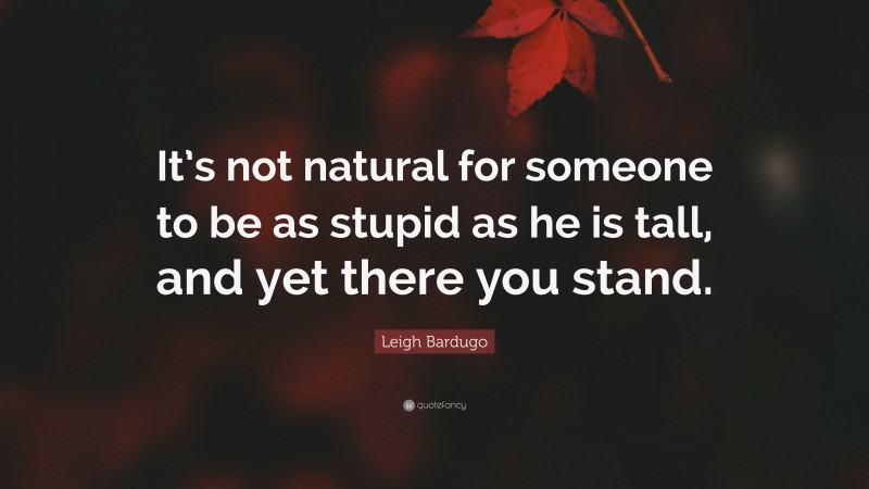 Leigh Bardugo Quote: “It’s not natural for someone to be as stupid as he is tall, and yet there you stand.”