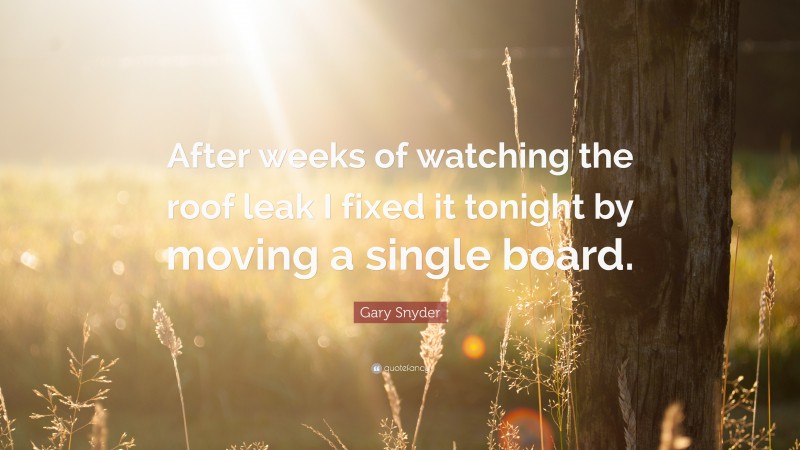 Gary Snyder Quote: “After weeks of watching the roof leak I fixed it tonight by moving a single board.”