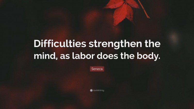 Seneca Quote: “Difficulties strengthen the mind, as labor does the body.”