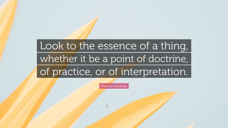 Marcus Aurelius Quote: “Look to the essence of a thing, whether it be a point of doctrine, of practice, or of interpretation.”