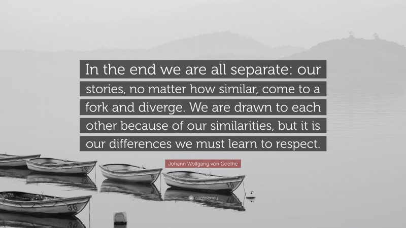 Johann Wolfgang von Goethe Quote: “In the end we are all separate: our stories, no matter how similar, come to a fork and diverge. We are drawn to each other because of our similarities, but it is our differences we must learn to respect.”