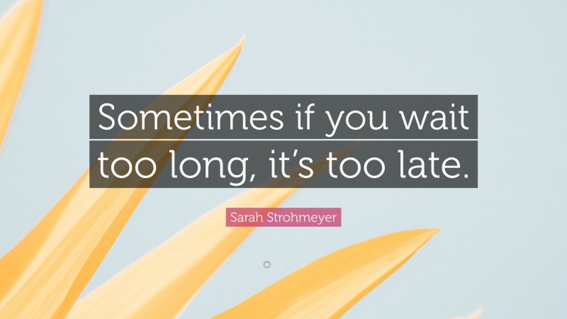Sarah Strohmeyer Quote: “Sometimes if you wait too long, it’s too late.”