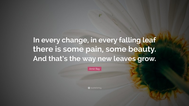 Amit Ray Quote: “In every change, in every falling leaf there is some pain, some beauty. And that’s the way new leaves grow.”
