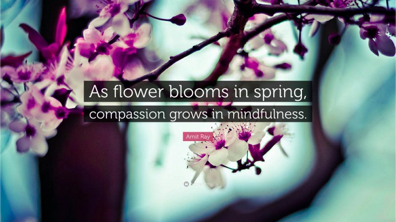 Amit Ray Quote: “As flower blooms in spring, compassion grows in mindfulness.”