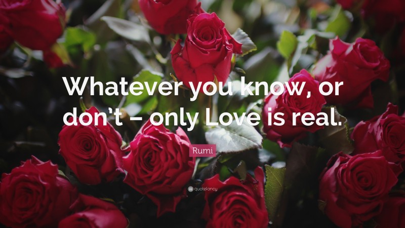 Rumi Quote: “Whatever you know, or don’t – only Love is real.”