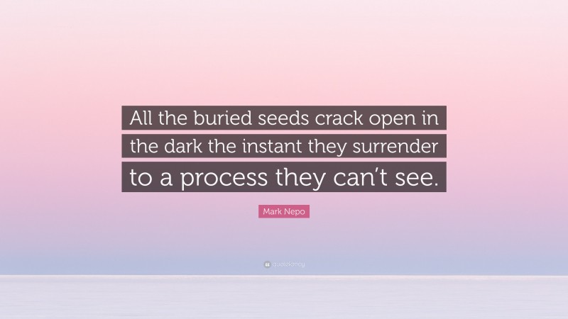 Mark Nepo Quote: “All the buried seeds crack open in the dark the instant they surrender to a process they can’t see.”