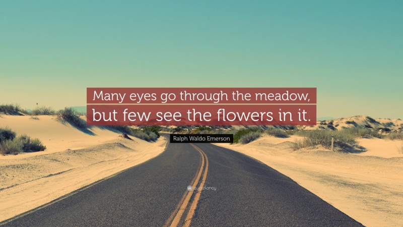 Ralph Waldo Emerson Quote: “Many eyes go through the meadow, but few see the flowers in it.”