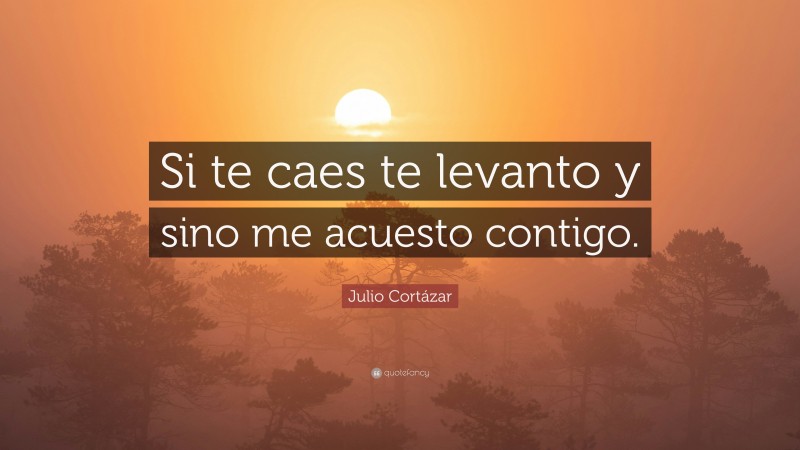 Julio Cortázar Quote: “Si te caes te levanto y sino me acuesto contigo.”