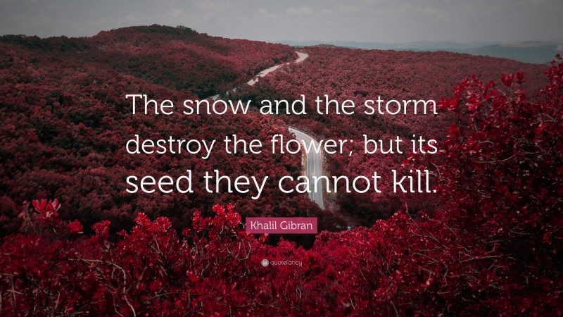 Khalil Gibran Quote: “The snow and the storm destroy the flower; but its seed they cannot kill.”