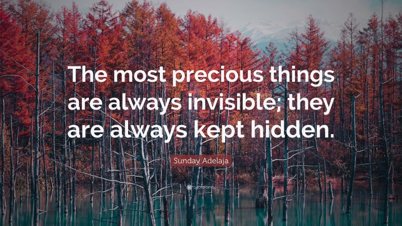 Sunday Adelaja Quote: “The most precious things are always invisible; they are always kept hidden.”