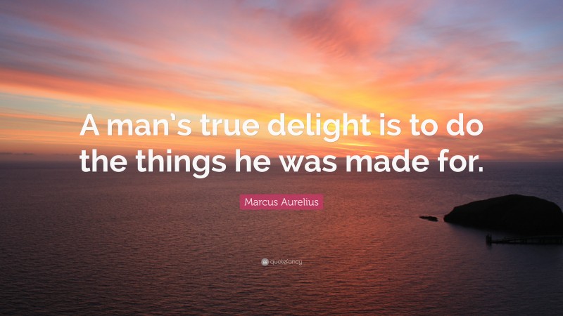 Marcus Aurelius Quote: “A man’s true delight is to do the things he was made for.”