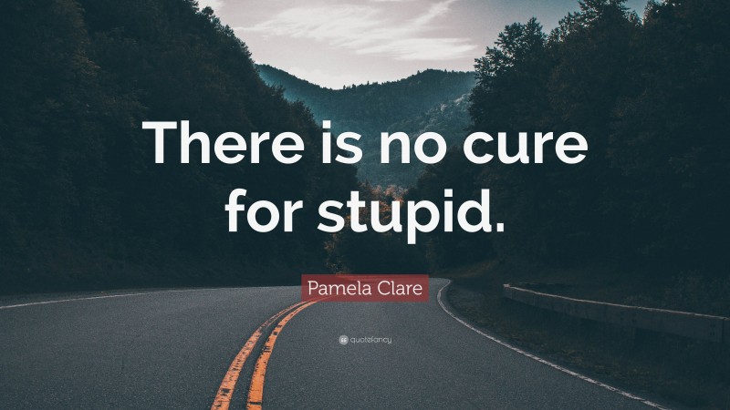 Pamela Clare Quote: “There is no cure for stupid.”