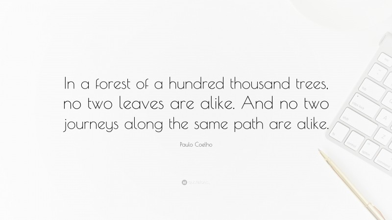 Paulo Coelho Quote: “In a forest of a hundred thousand trees, no two leaves are alike. And no two journeys along the same path are alike.”