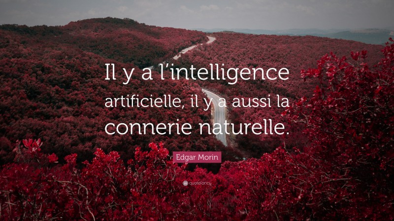 Edgar Morin Quote: “Il y a l’intelligence artificielle, il y a aussi la connerie naturelle.”