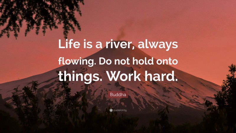 Buddha Quote: “Life is a river, always flowing. Do not hold onto things. Work hard.”
