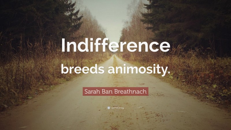 Sarah Ban Breathnach Quote: “Indifference breeds animosity.”