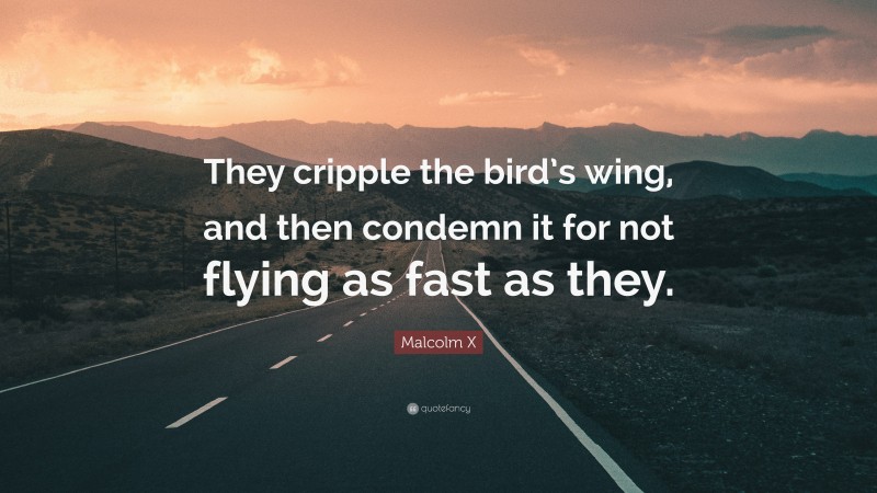 Malcolm X Quote: “They cripple the bird’s wing, and then condemn it for not flying as fast as they.”
