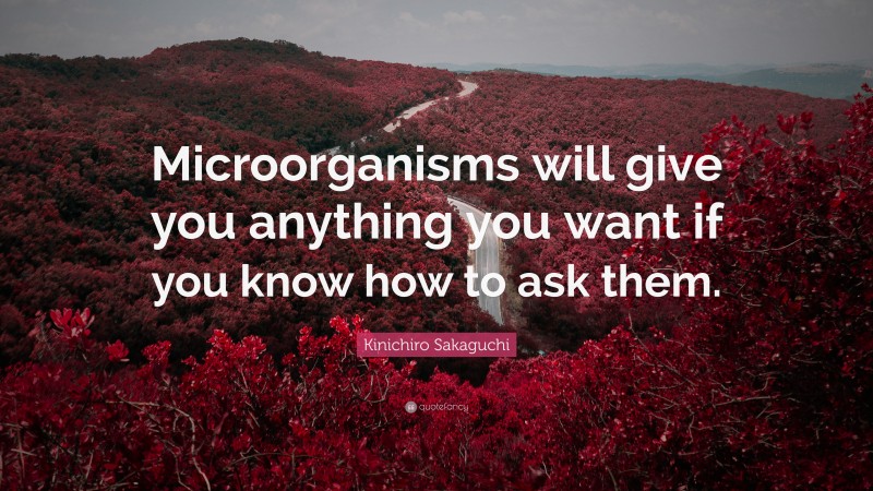 Kinichiro Sakaguchi Quote: “Microorganisms will give you anything you want if you know how to ask them.”