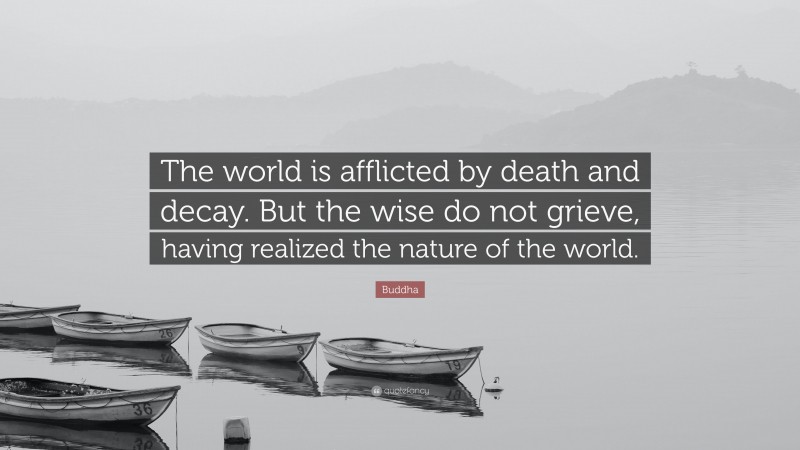 Buddha Quote: “The world is afflicted by death and decay. But the wise do not grieve, having realized the nature of the world.”