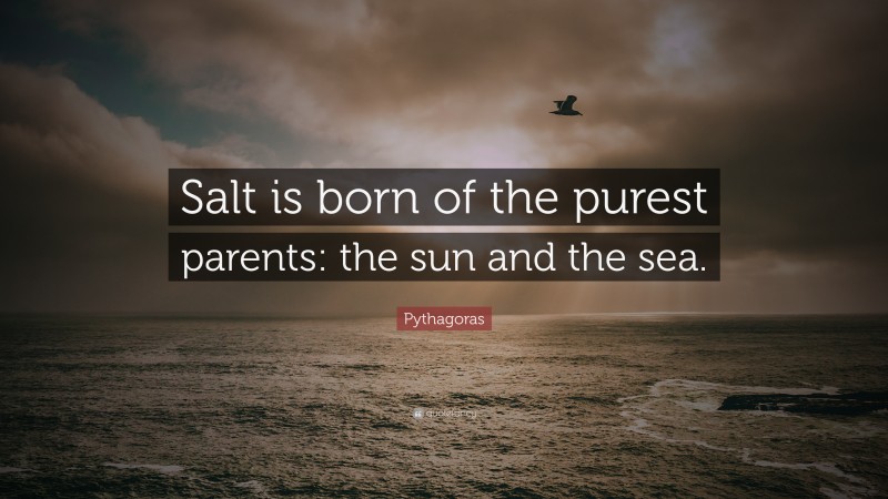Pythagoras Quote: “Salt is born of the purest parents: the sun and the sea.”