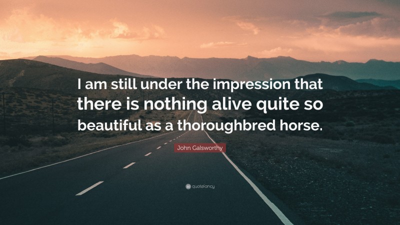 John Galsworthy Quote: “I am still under the impression that there is nothing alive quite so beautiful as a thoroughbred horse.”