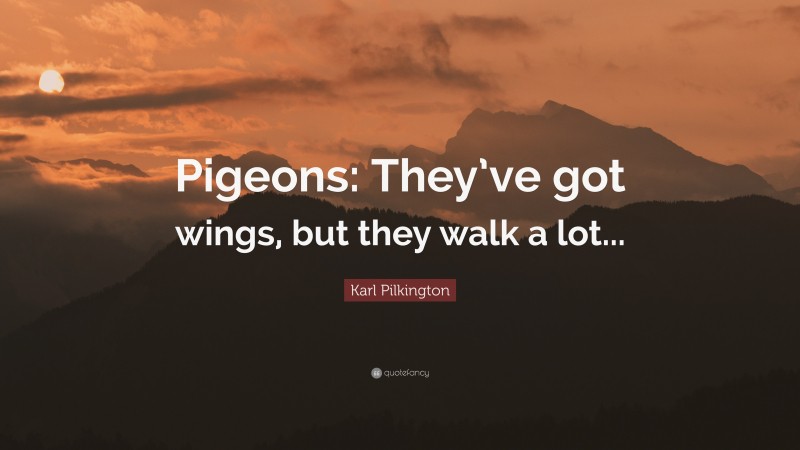 Karl Pilkington Quote: “Pigeons: They’ve got wings, but they walk a lot...”