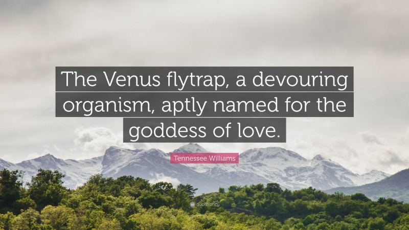 Tennessee Williams Quote: “The Venus flytrap, a devouring organism, aptly named for the goddess of love.”