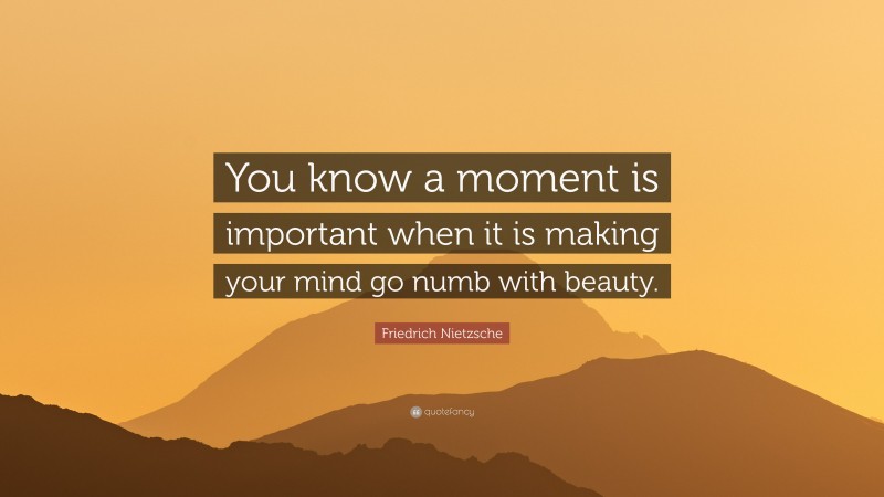Friedrich Nietzsche Quote: “You know a moment is important when it is making your mind go numb with beauty.”