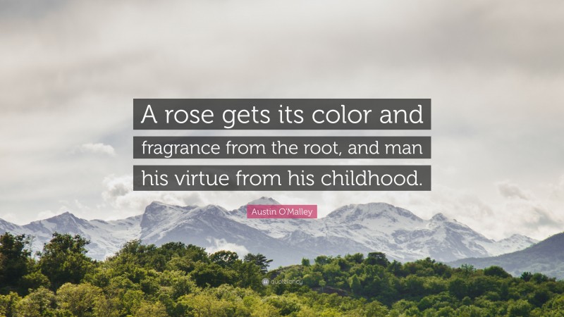 Austin O'Malley Quote: “A rose gets its color and fragrance from the root, and man his virtue from his childhood.”