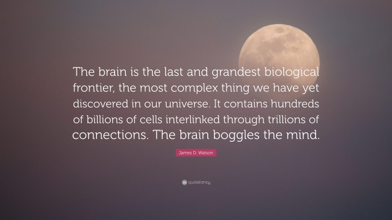 James D. Watson Quote: “The brain is the last and grandest biological frontier, the most complex thing we have yet discovered in our universe. It contains hundreds of billions of cells interlinked through trillions of connections. The brain boggles the mind.”