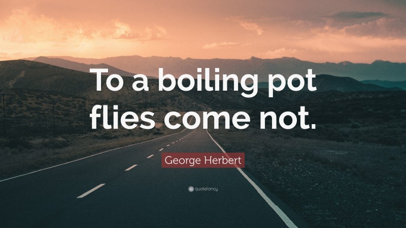 George Herbert Quote: “To a boiling pot flies come not.”