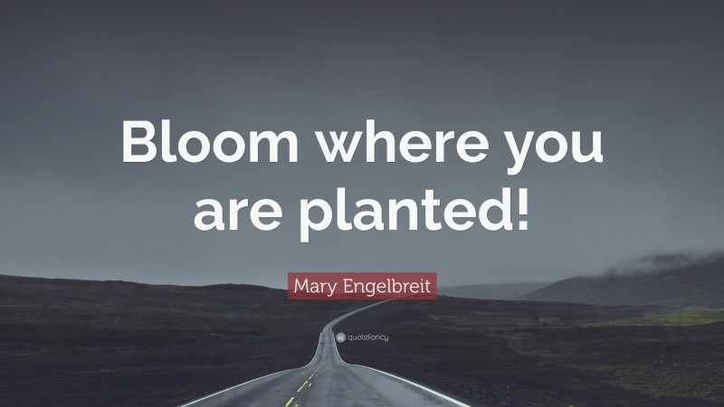 Mary Engelbreit Quote: “Bloom where you are planted!”