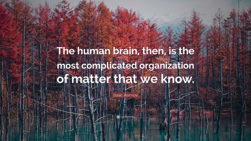 Isaac Asimov Quote: “The human brain, then, is the most complicated organization of matter that we know.”