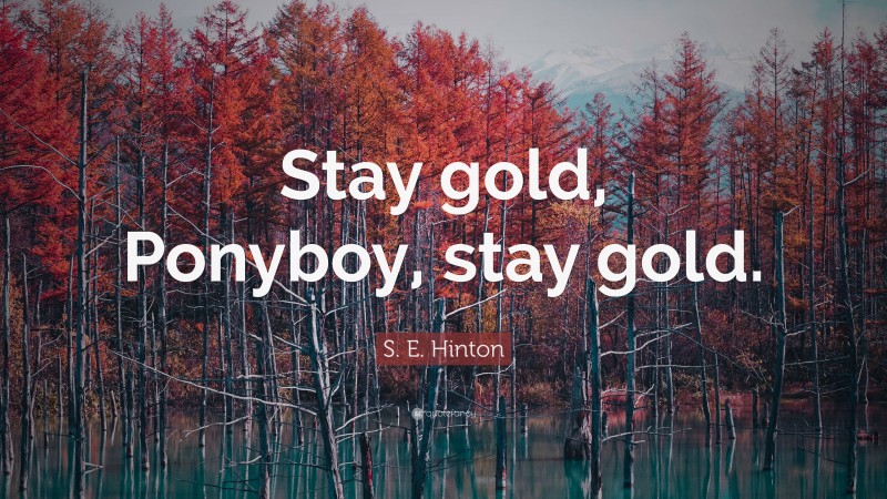 S. E. Hinton Quote: “Stay gold, Ponyboy, stay gold.”