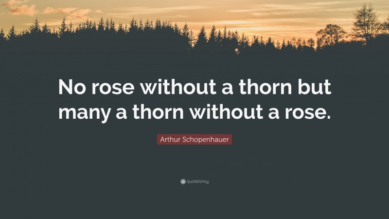 Arthur Schopenhauer Quote: “No rose without a thorn but many a thorn without a rose.”