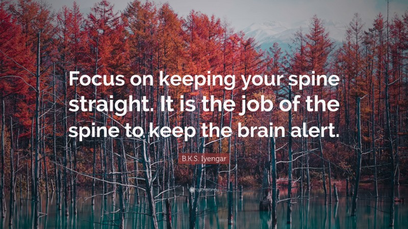 B.K.S. Iyengar Quote: “Focus on keeping your spine straight. It is the job of the spine to keep the brain alert.”
