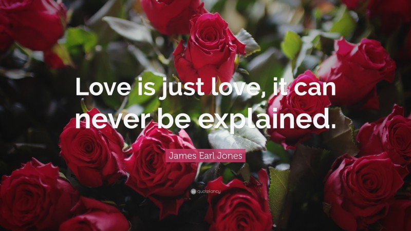 James Earl Jones Quote: “Love is just love, it can never be explained.”