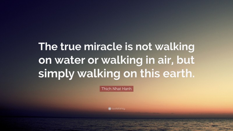 Thich Nhat Hanh Quote: “The true miracle is not walking on water or walking in air, but simply walking on this earth.”