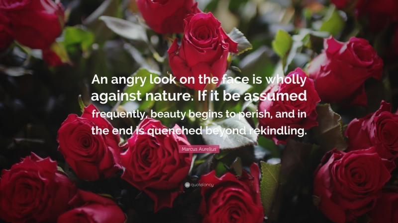 Marcus Aurelius Quote: “An angry look on the face is wholly against nature. If it be assumed frequently, beauty begins to perish, and in the end is quenched beyond rekindling.”