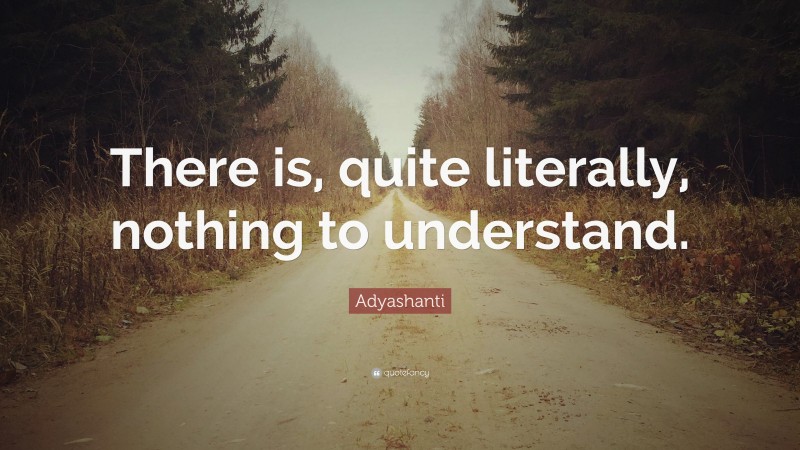 Adyashanti Quote: “There is, quite literally, nothing to understand.”